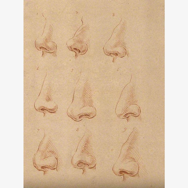 Nine Noses