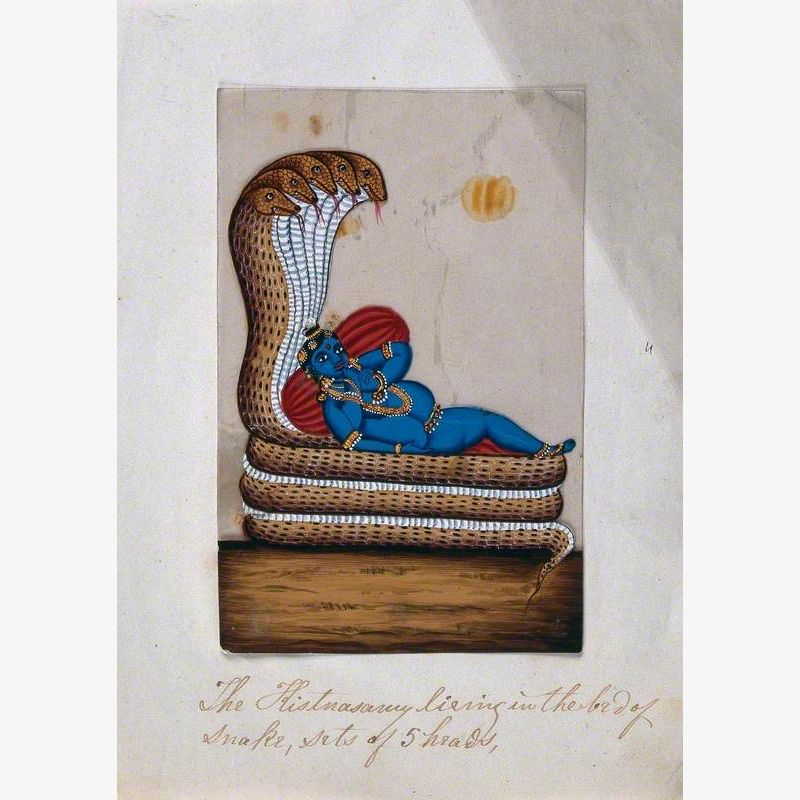 Krishna Lying on the Coils of a Five-Headed Snake, Supported by Some Cushions