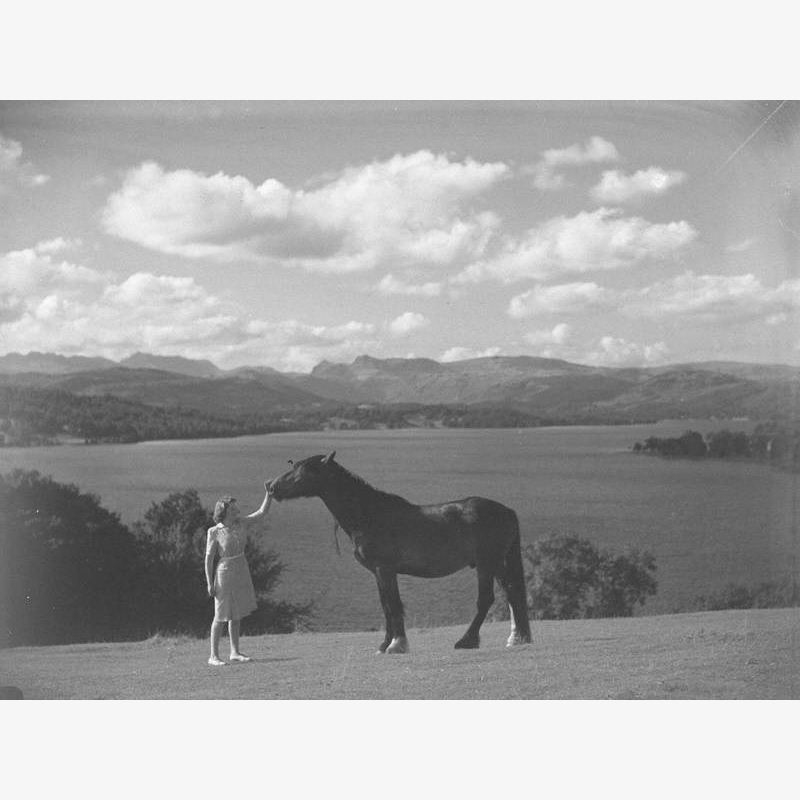 Pony by Windermere