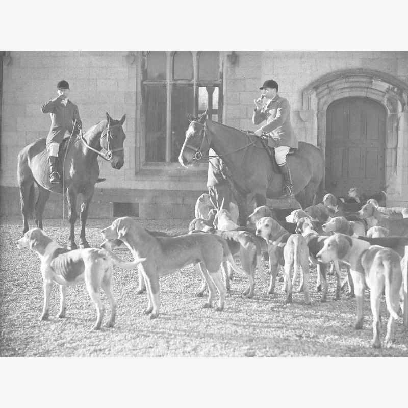 Riders with Fox Hounds