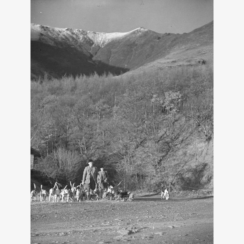 Hunt at Thirlmere