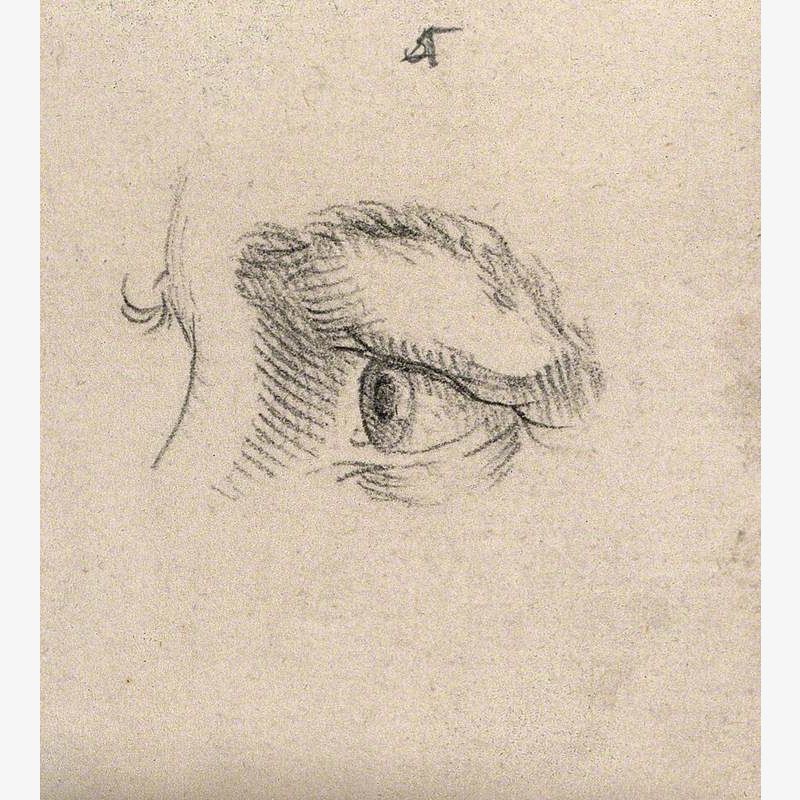 An Eye, According to Lavater, Belonging to a Promising Young Man