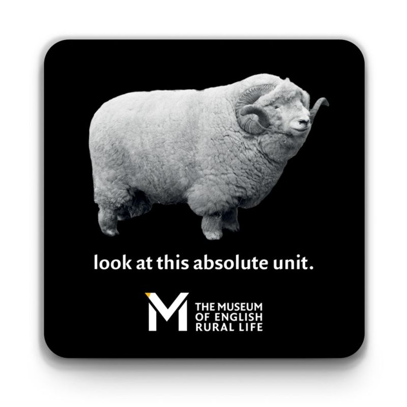 ‘The Absolute Unit’ coaster – black