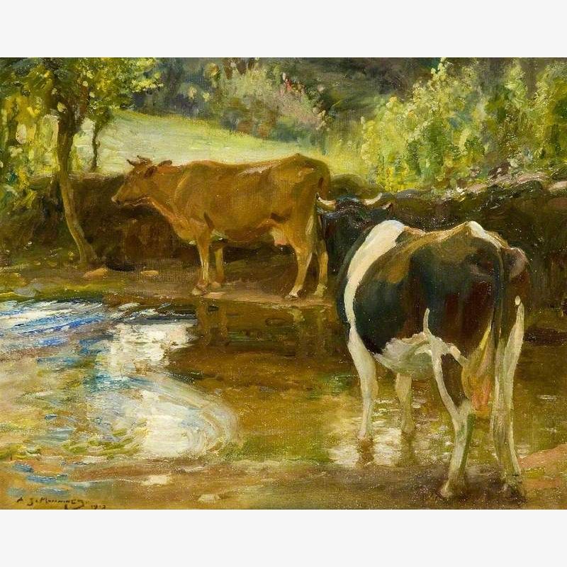 Cows at Water, Lamorna