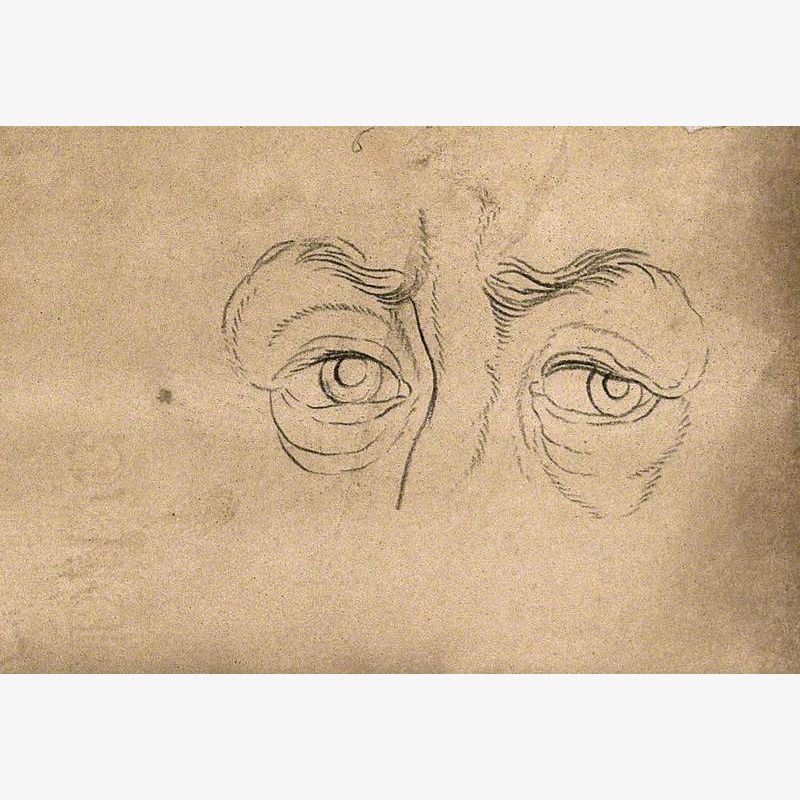 Eyes Expressing an Energetic Character, According to Lavater's System of Physiognomy