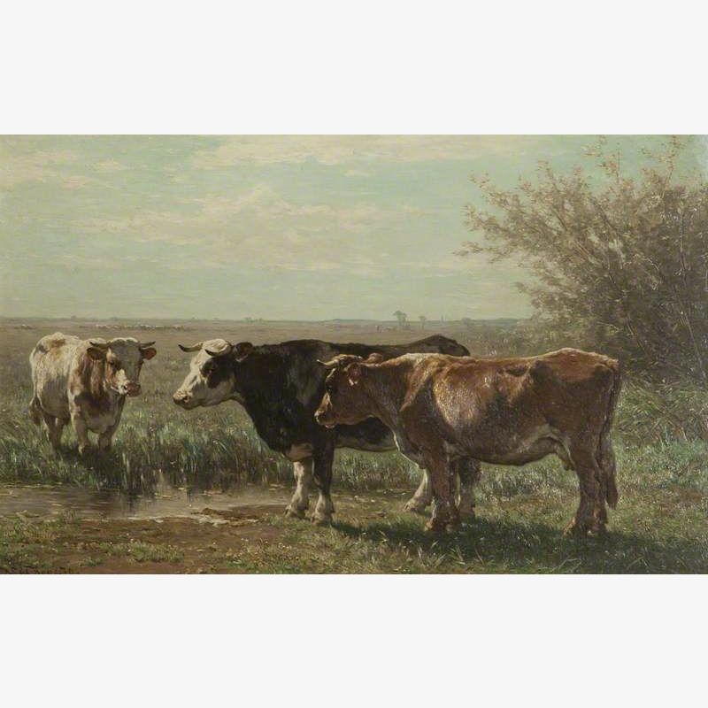 Cattle and Landscape