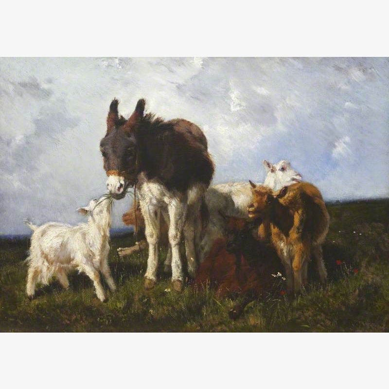 Donkey and Goats