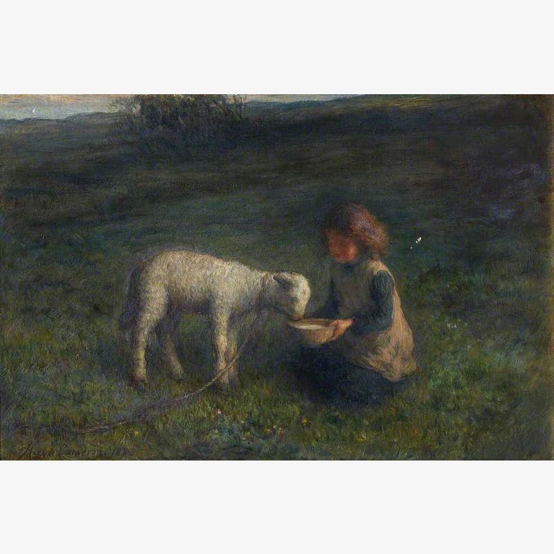 The Pet Lamb