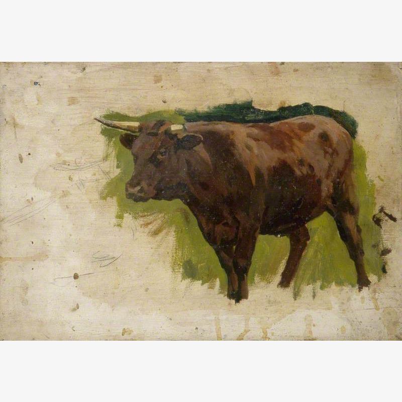Brown Bull: Cow Looking Left