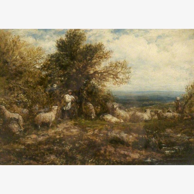 Sheep at Rest, Minding the Flock
