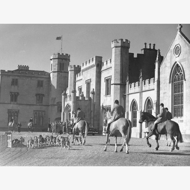 Horses and Hounds at Leighton Hall