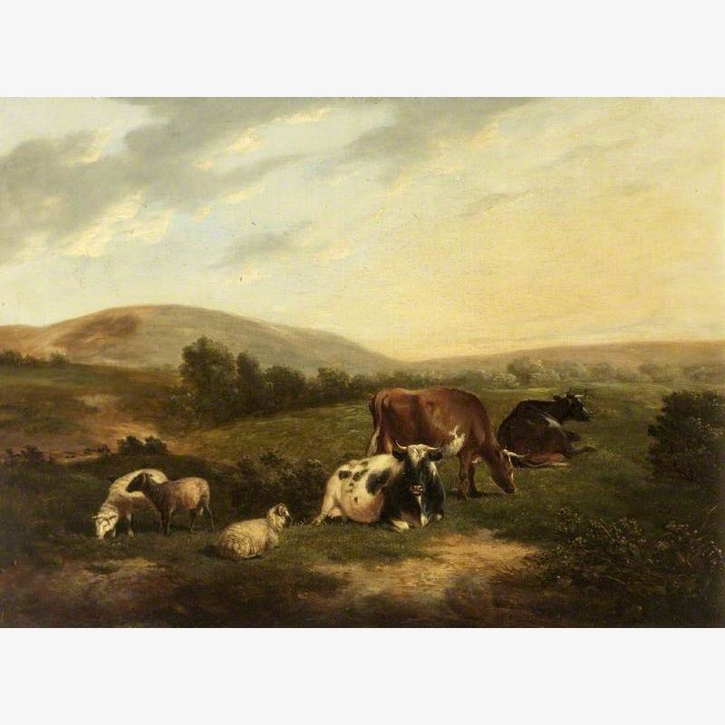 Cattle on the Sussex Downs