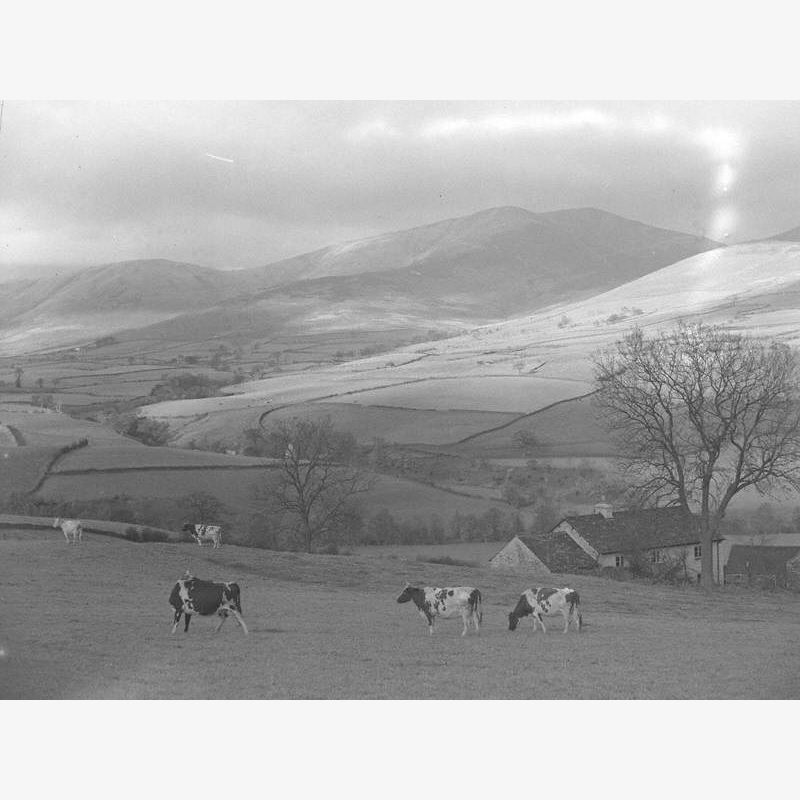 Farming in Lunesdale