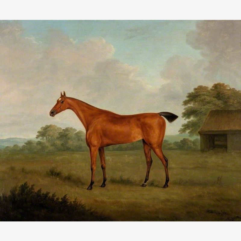 Portrait of a Horse in a Landscape