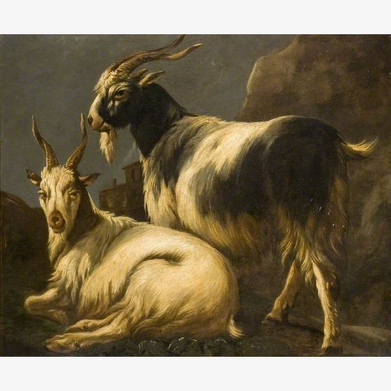 Study of Goats