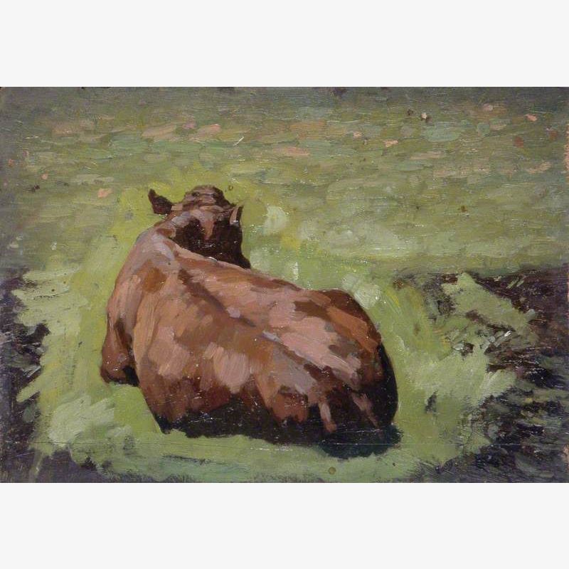 Cow Lying in the Grass