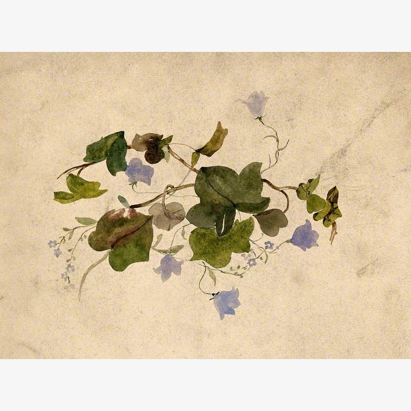 Collection of Blue Flowers and Ivy Leaves