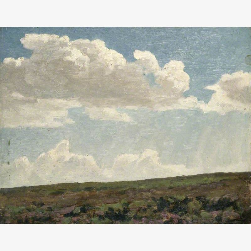 Landscape with Cloudy Sky and Purple Heather
