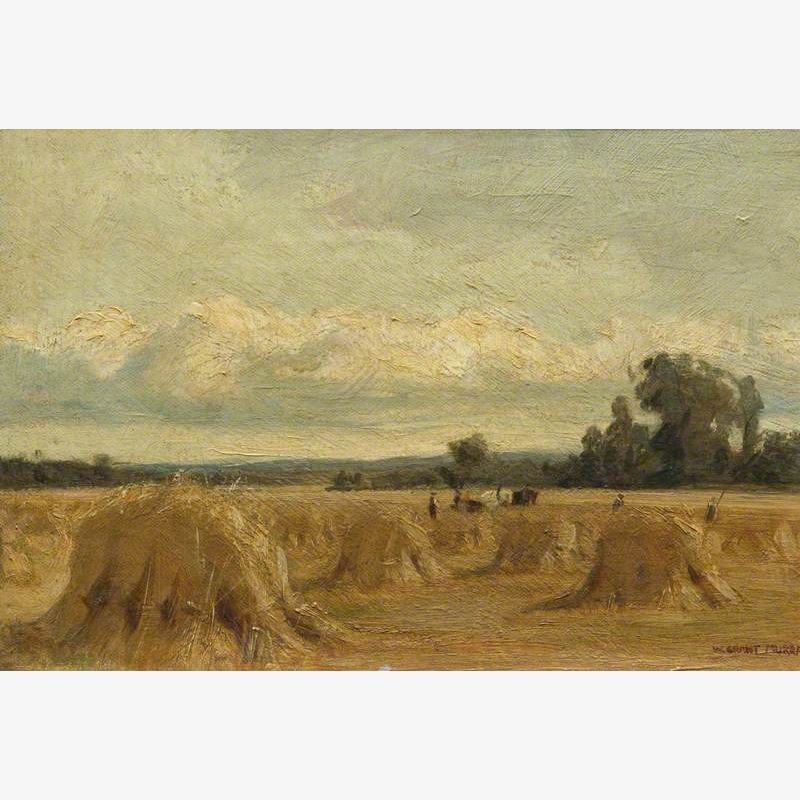 Harvest Field, Rosemount, Blairgowrie, Perthshire