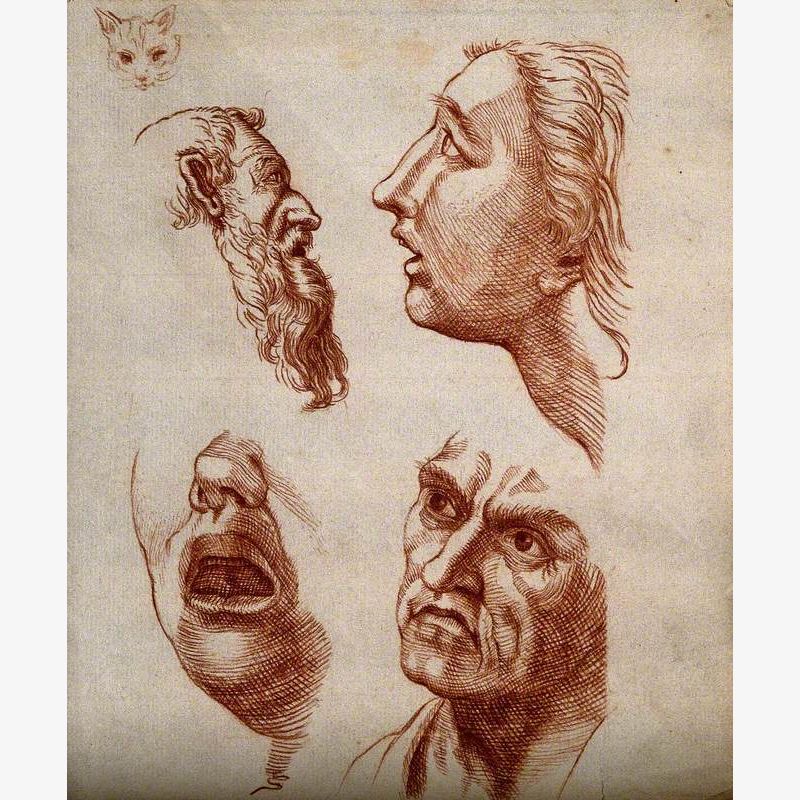 Four Human Faces and One Cat's Face: Sketches