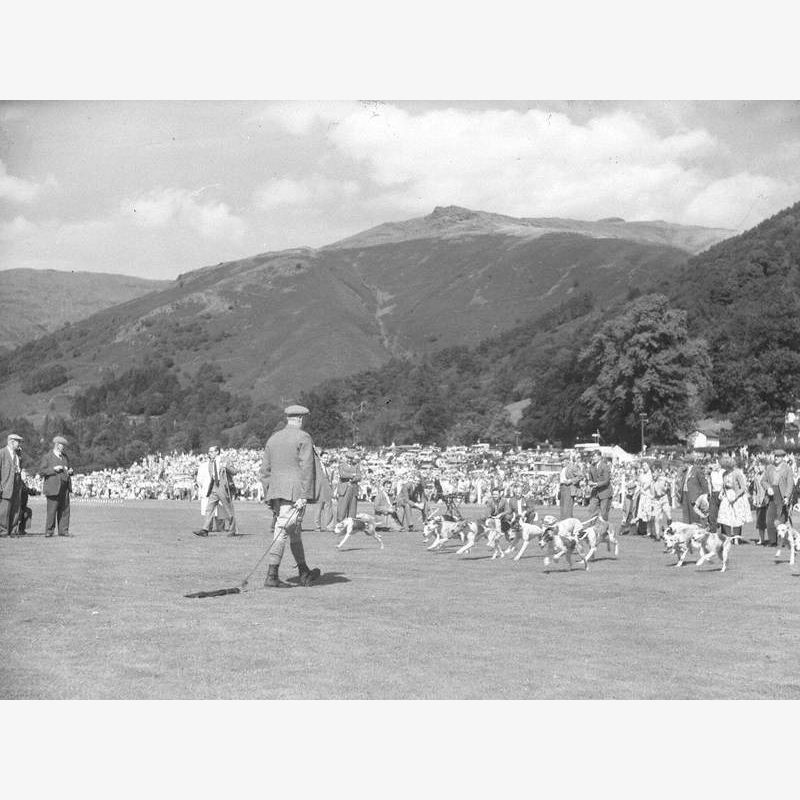 Judging Hounds at Grasmere Sports