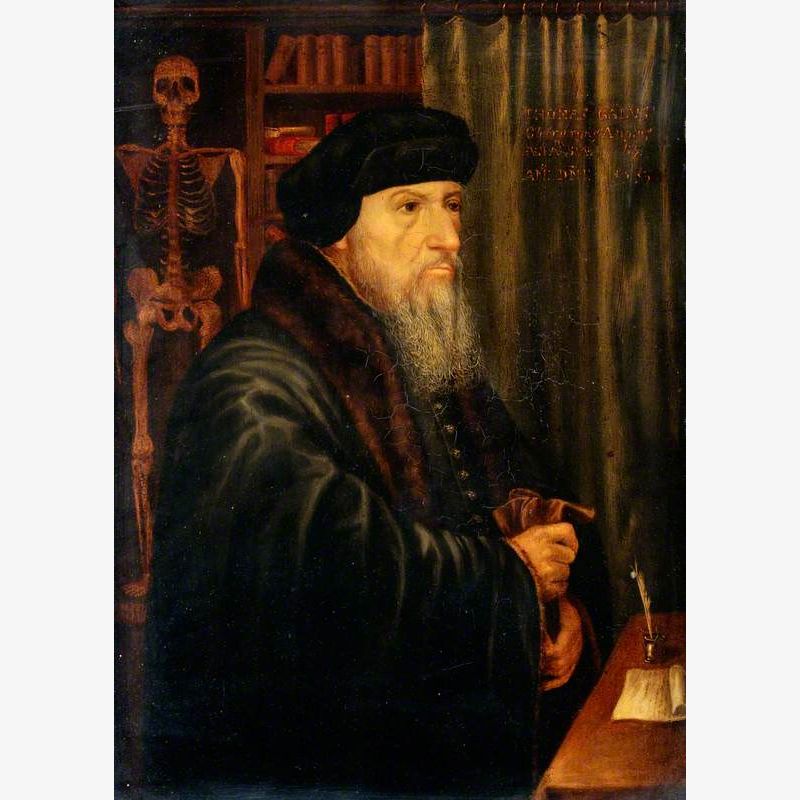 Thomas Gale (1507–1586), Surgeon