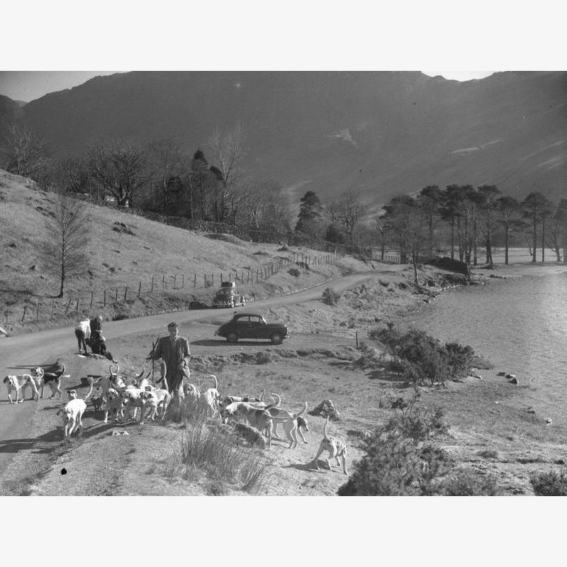 Hounds at Buttermere