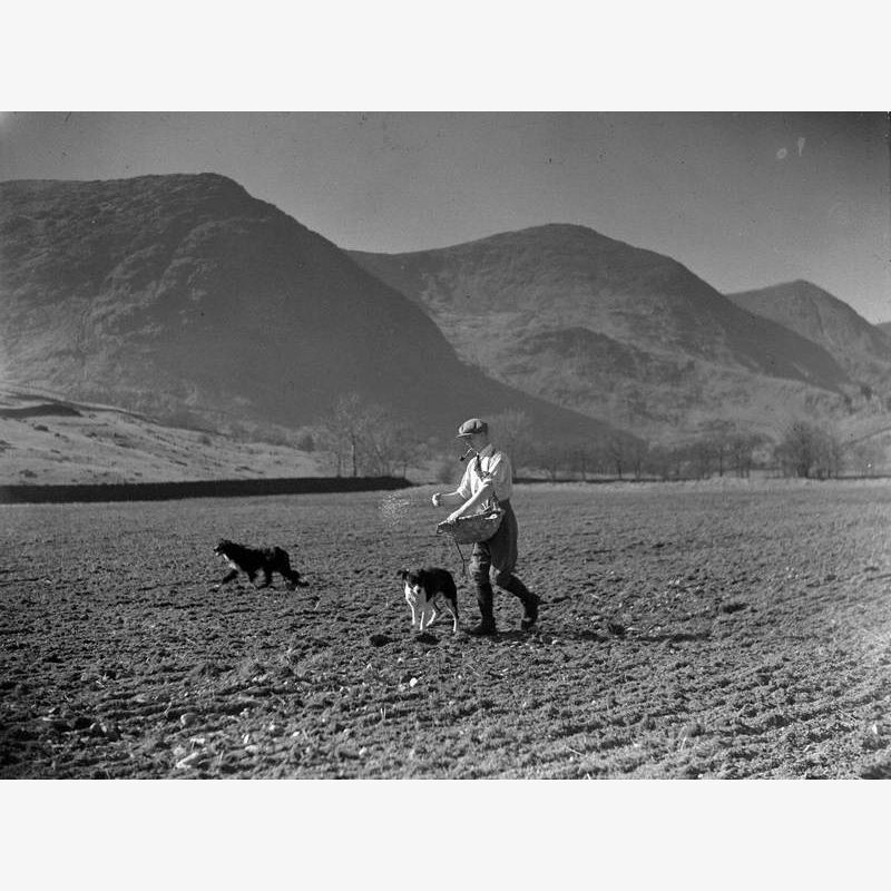 Broadcast Sowing Kentmere