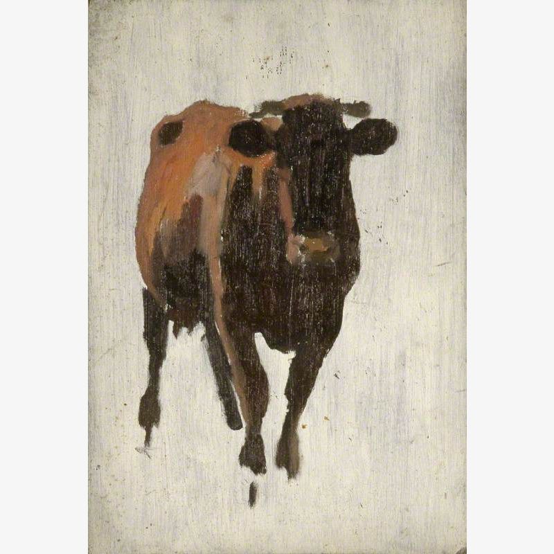 Cow Standing