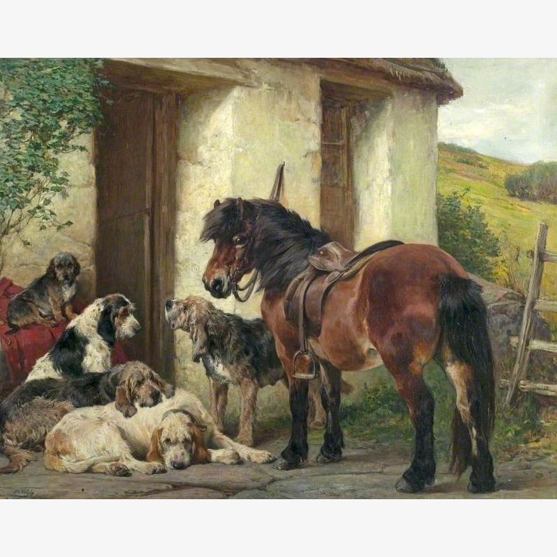 Shetland Pony and Dogs