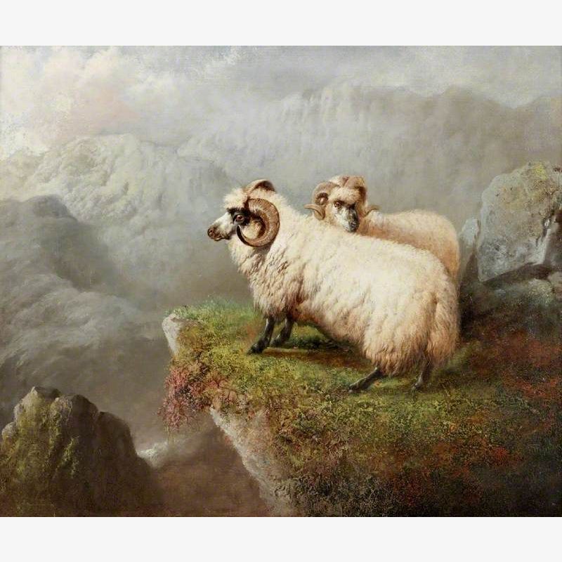 Sheep on a Cliff's Edge