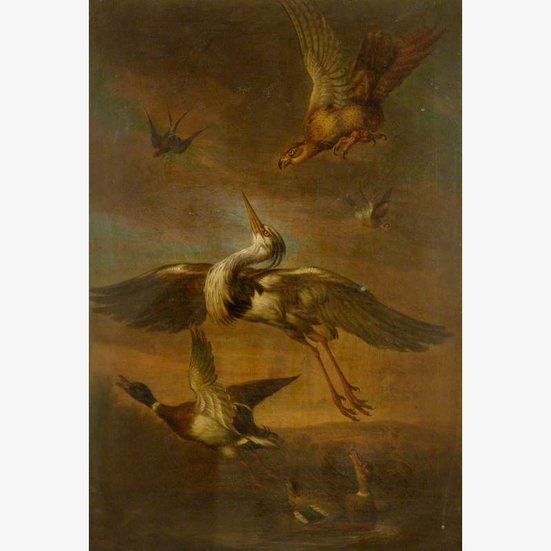 A Hawk Striking at a Heron