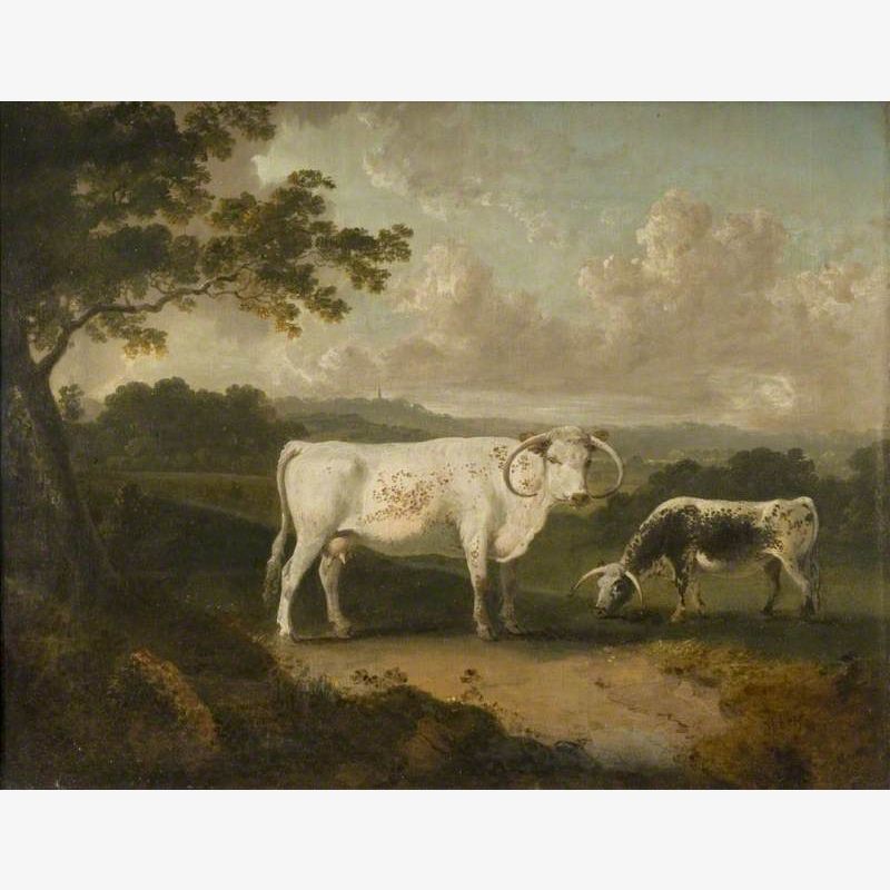 Kenwood, Lord Mansfield's Pedigree Cattle