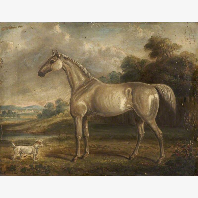 Grey Horse and Dog
