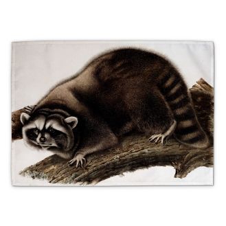 John James Audubon ‘Raccoon’ tea towel