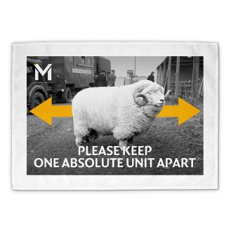 ‘Please Keep One Absolute Unit Apart’ tea towel