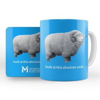 ‘The Absolute Unit’ mug and coaster – blue