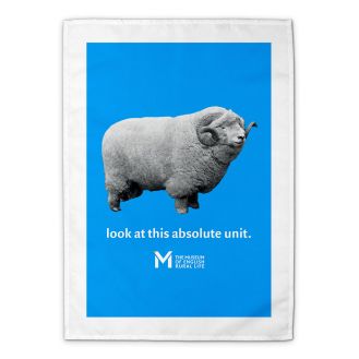 ‘The Absolute Unit’ tea towel – blue