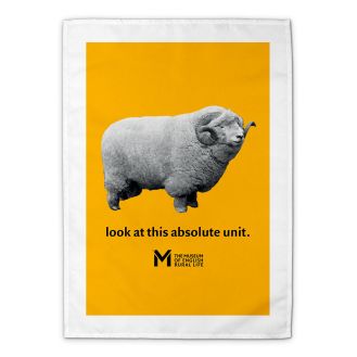 ‘The Absolute Unit’ tea towel – yellow