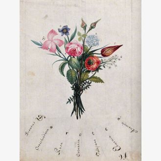 A Bunch of Flowers, the Initial Letters of Which Are Shown to Spell 'Dorotea'