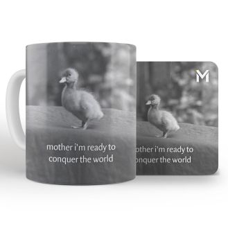 ‘The Duck Pic Day Duckling’ mug and coaster