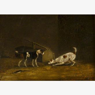 Two Terriers Ratting