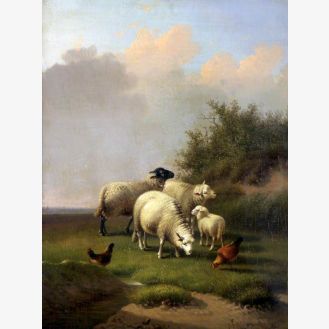Sheep with Chickens