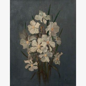 Flower Study, Narcissi