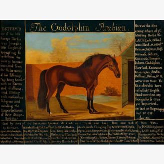 'The Godolphin Arabian'