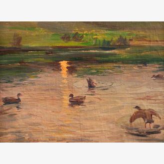 Wild Ducks at Sunset